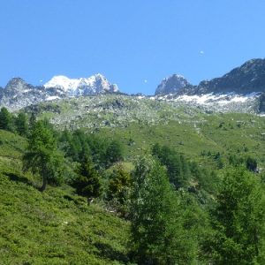 04-Chapeau 04-Chapeau