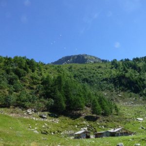 05-Chapeau 05-Chapeau