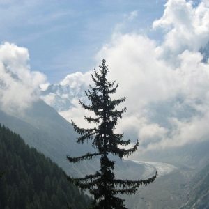 07-Chapeau 07-Chapeau