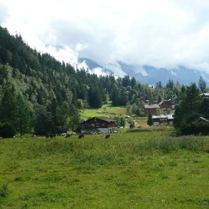 13-Chapeau 13-Chapeau