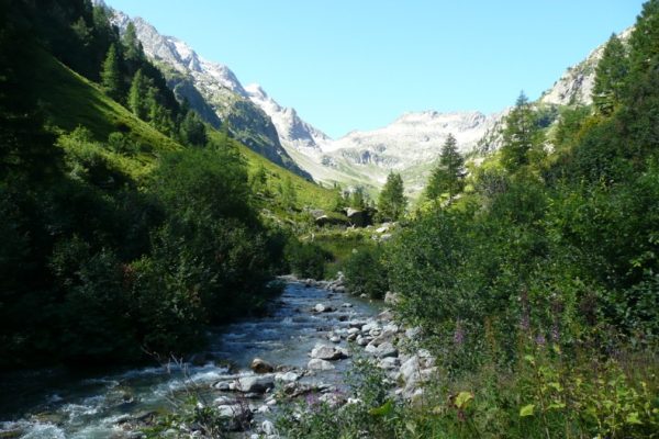 Pierre à bérard (1)