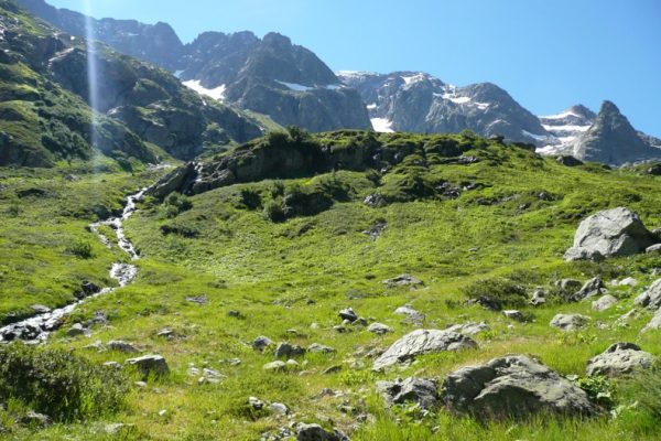 Pierre à bérard (3)