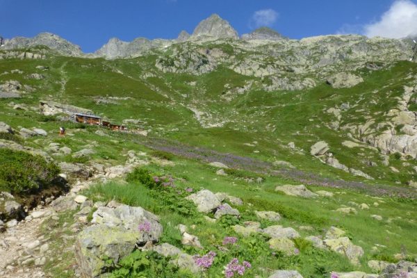 Pierre à bérard (7)