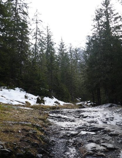 Refuge des Prés (2) Refuge des Prés (2)