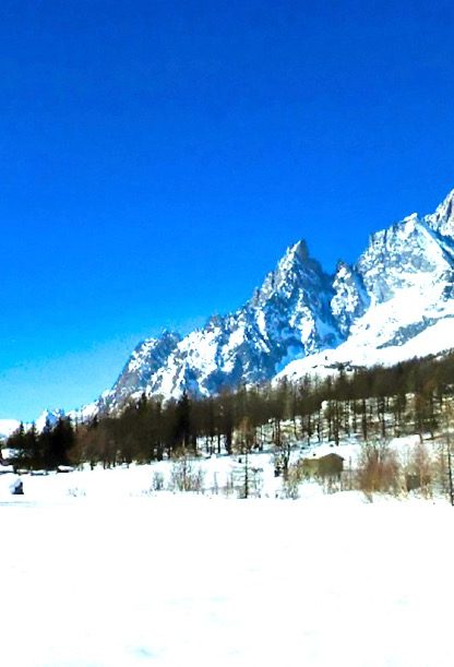 bonatti (2) bonatti (2)