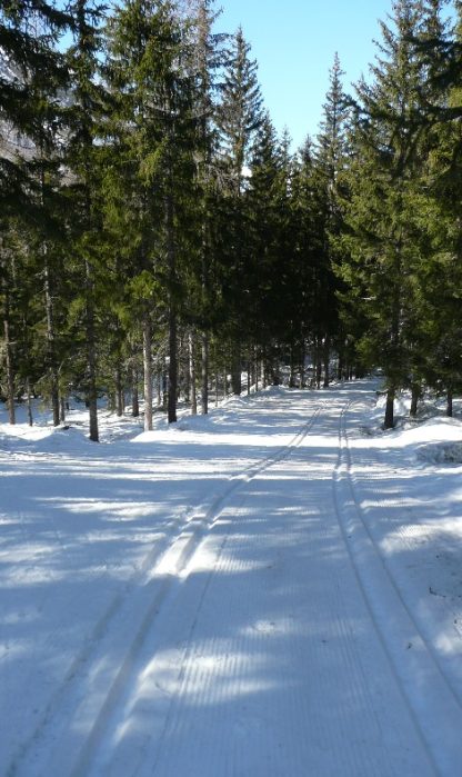 ski fond argentière (7)