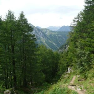 16_Fenêtre de l'Arpette