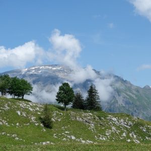 55-Lac anterne (18)