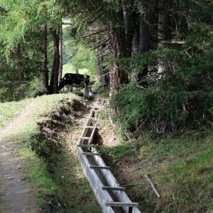 80-Cabanne Tsissette (1)