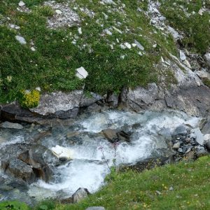 80-Cabanne Tsissette (6)