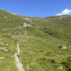 Cabane des aiguilles rouges suisses (1)