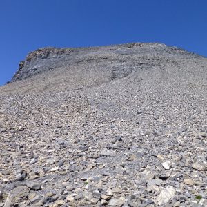 Cheval Blanc Sélection (10)