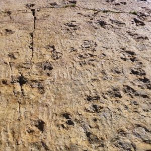 Cheval Blanc Sélection (12)