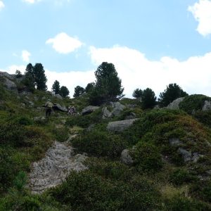 Glacier d'Aletsch (11)