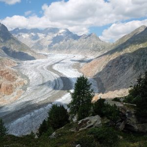Glacier d'Aletsch (12)