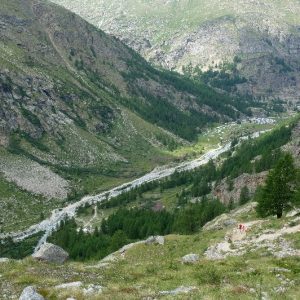 Refuge Vittorio Emanuele II (13)